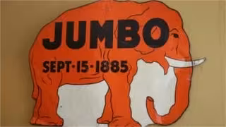 Jumbo the Elephant